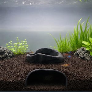 Könnte beinhalten: Ein Glasaquarium mit dunkelbraunem, körnigem Bodengrund, zwei porösen grauen Lavasteinen und einer glatten schwarzen Keramikhöhle. Grüne Wasserpflanzen sind im Bodengrund eingepflanzt und kleine Fische schwimmen in der Nähe der Pflanzen.