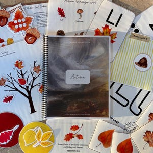Könnte beinhalten: Ein pädagogisches Herbst-Lehrplan-Set mit einem spiralgebundenen Arbeitsbuch mit Landschaftscover, verschiedenen Arbeitsblättern, Lernkarten mit Buchstaben und Zahlen sowie ausgeschnittenen Formen von bunten Herbstblättern, Eicheln und Pilzen.