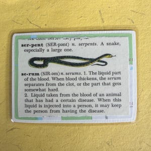 May include: A rectangular card featuring dictionary definitions for the words serpent and serum. The text includes phonetic pronunciations and definitions, with a detailed illustration of a long, slender black and yellow snake positioned between the two entries.