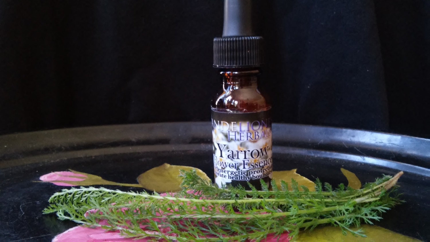 Yarrow Flower Essence Clear Strong Boundaries Energetic Etsy