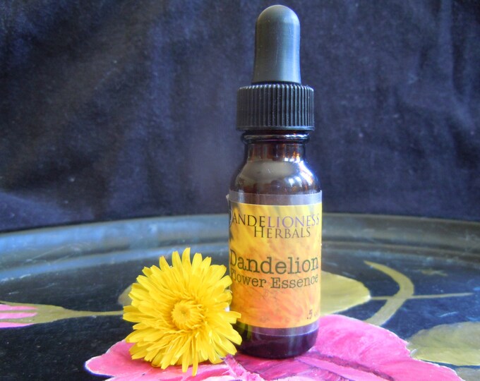Dandelion Flower Essence to Release Tension Held in the Body Etsy