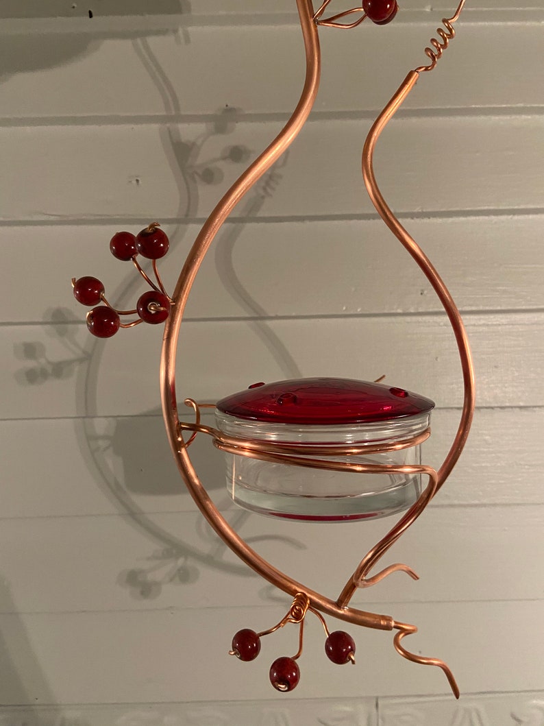 Coppervine Hummingbird Feeder Etsy