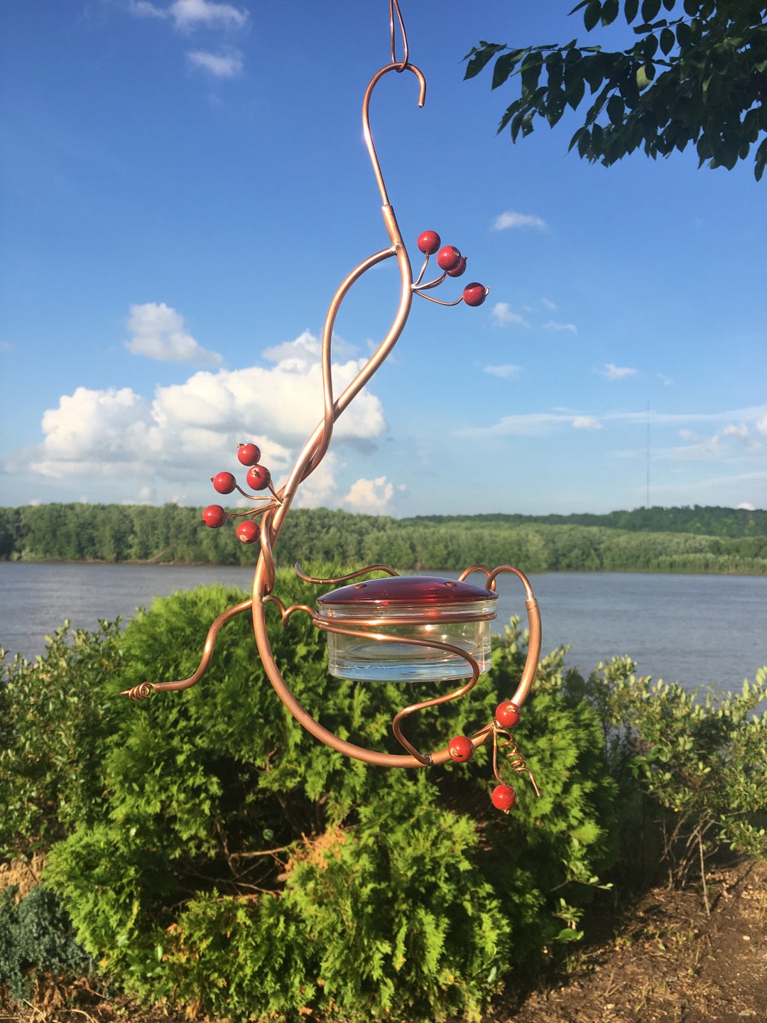 Coppervine Hummingbird Feeder Etsy