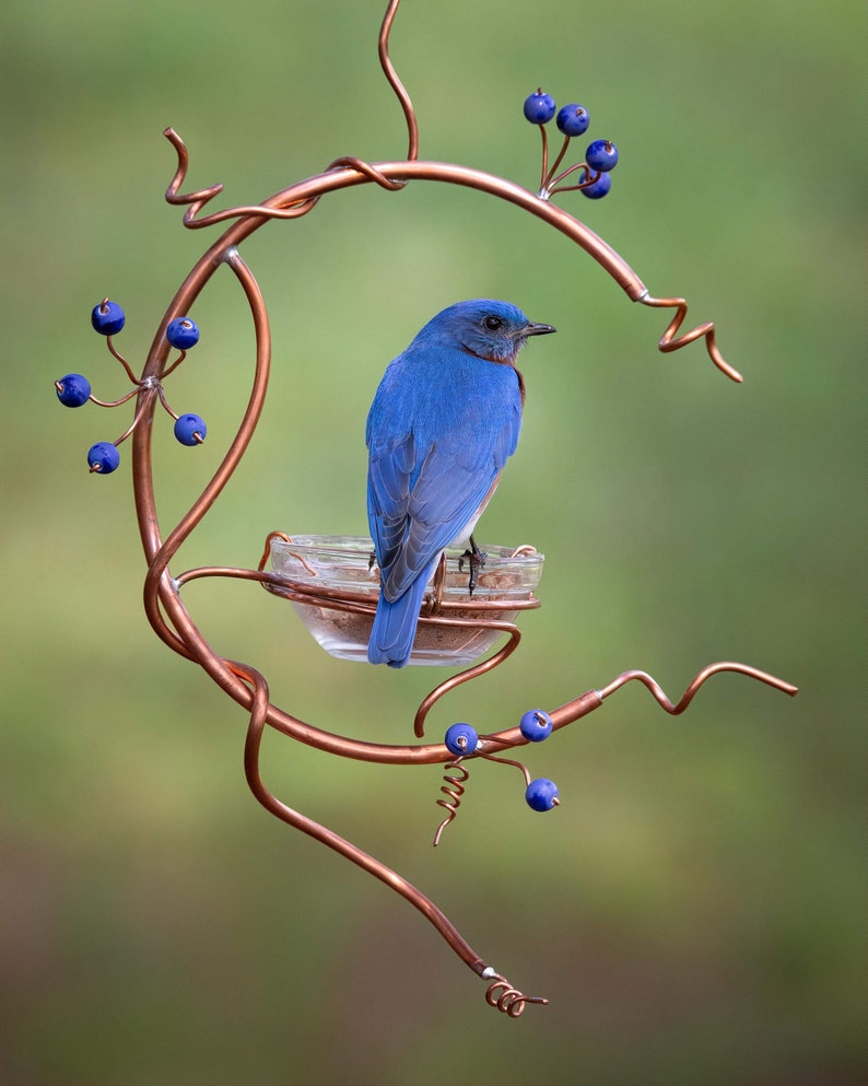Coppervine Bluebird Feeder | Etsy