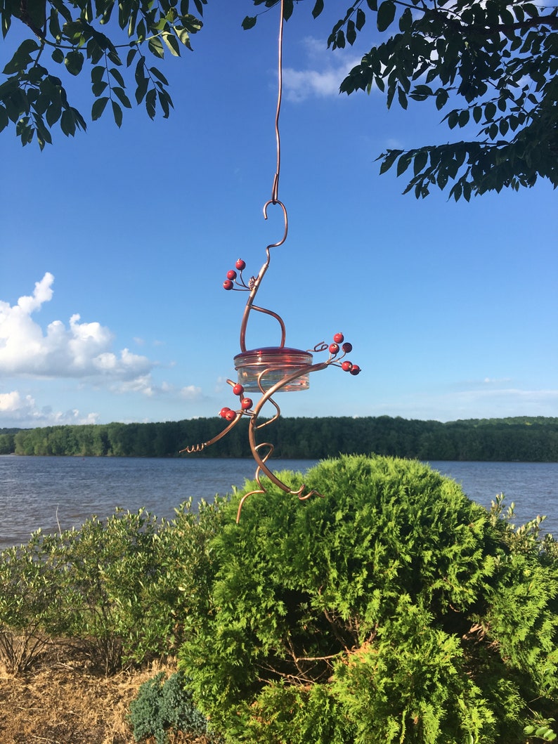Coppervine Spiral Hummingbird Feeder Etsy