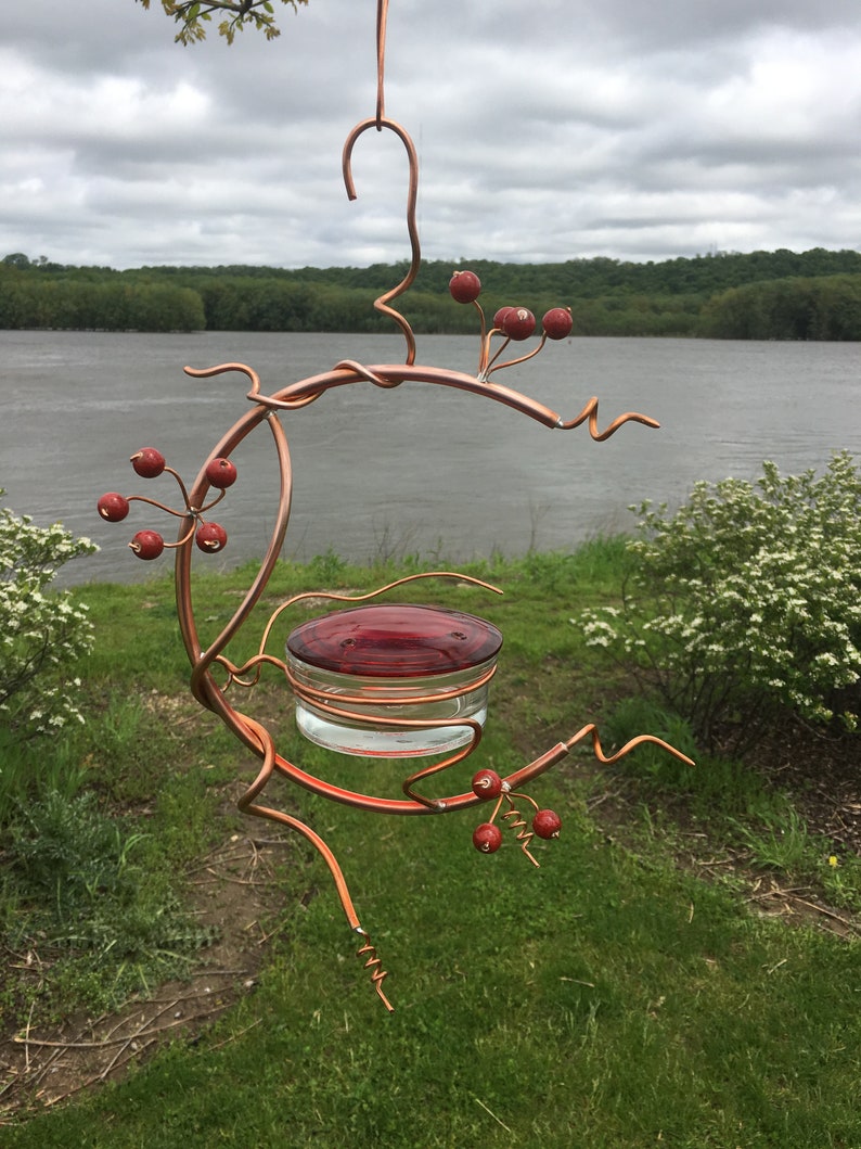 Coppervine Hummingbird Feeder Etsy