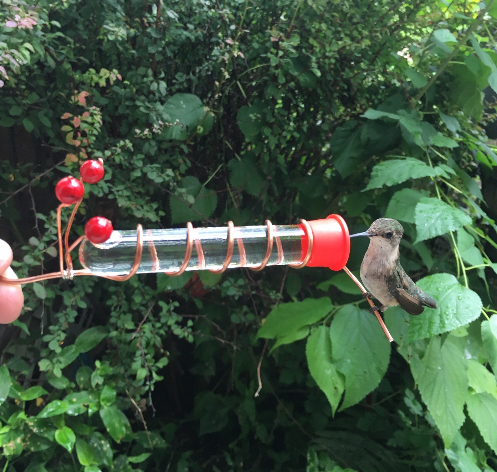 Hat Hummingbird Feeder Etsy