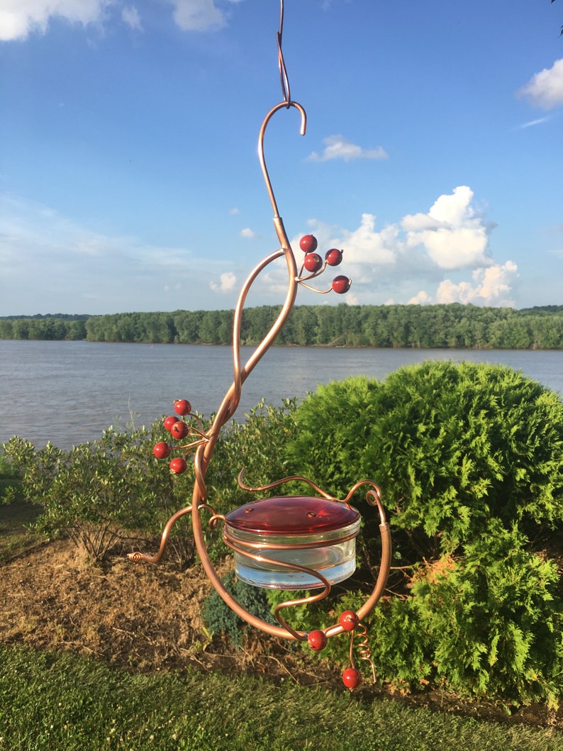 Coppervine Hummingbird Feeder Etsy