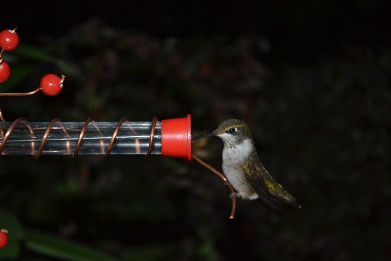 Hummingbird Feeder Etsy