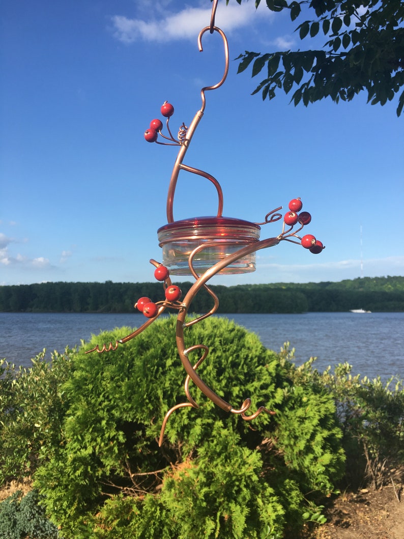 Coppervine Spiral Hummingbird Feeder Etsy