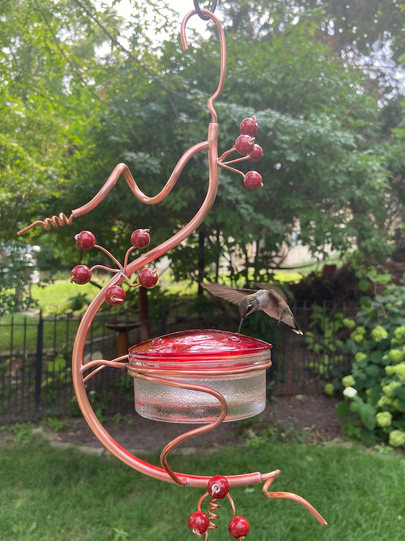Coppervine Hummingbird Feeder Etsy