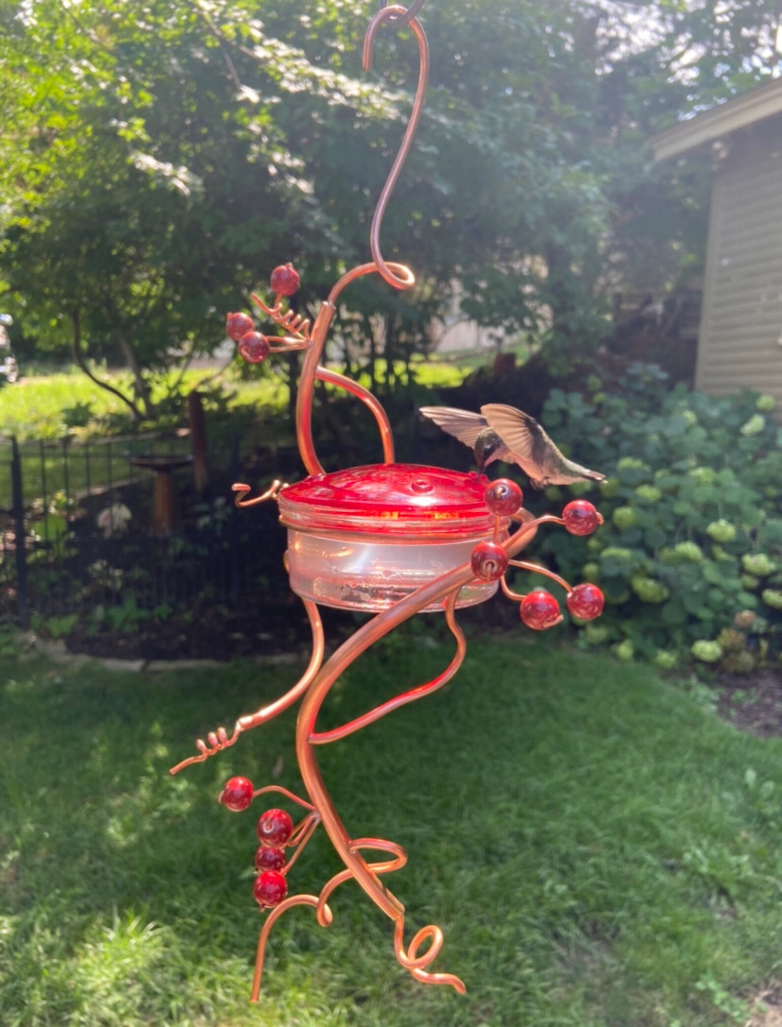 Coppervine Spiral Hummingbird Feeder Etsy