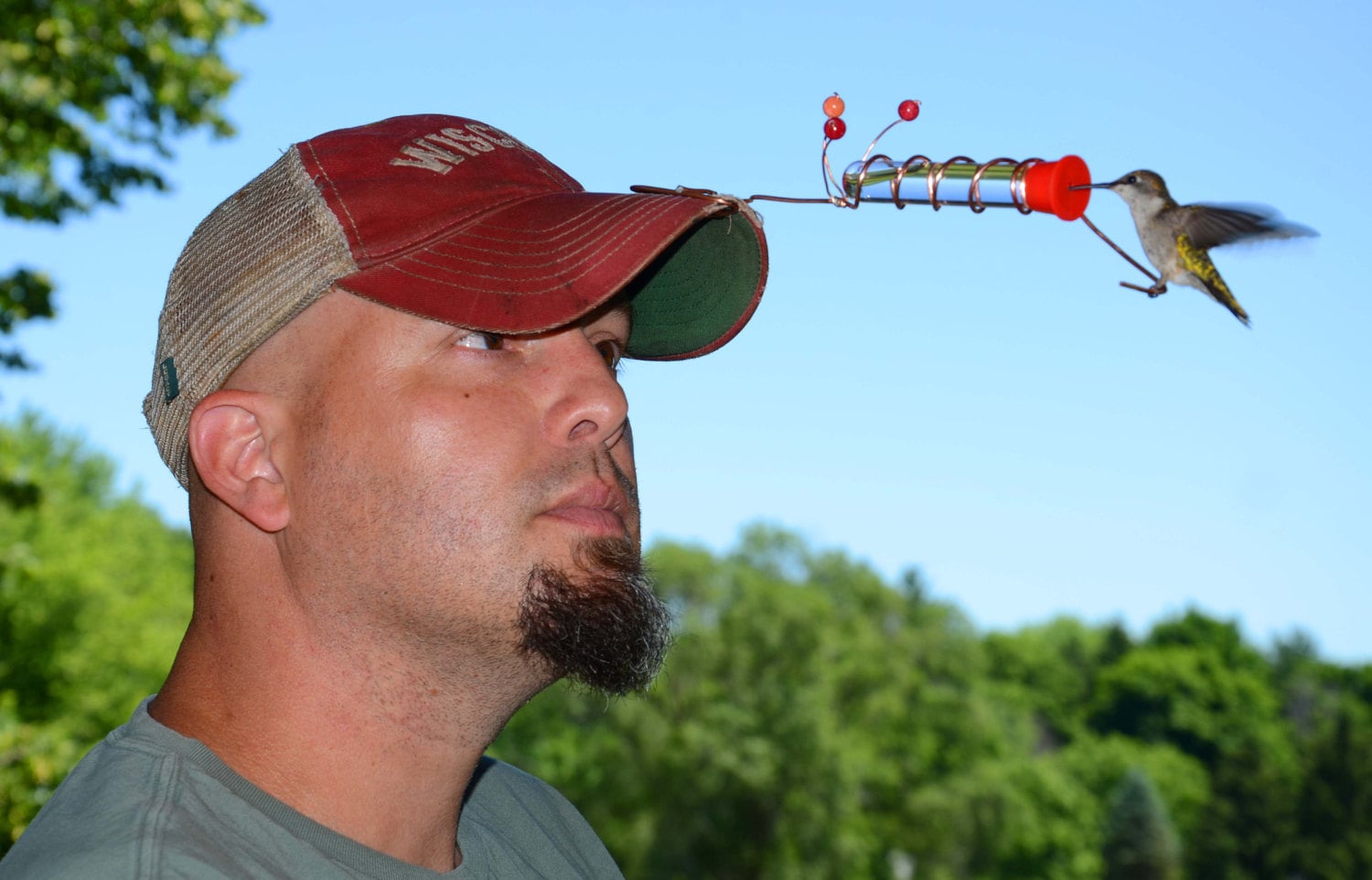 Hat Hummingbird Feeder Etsy