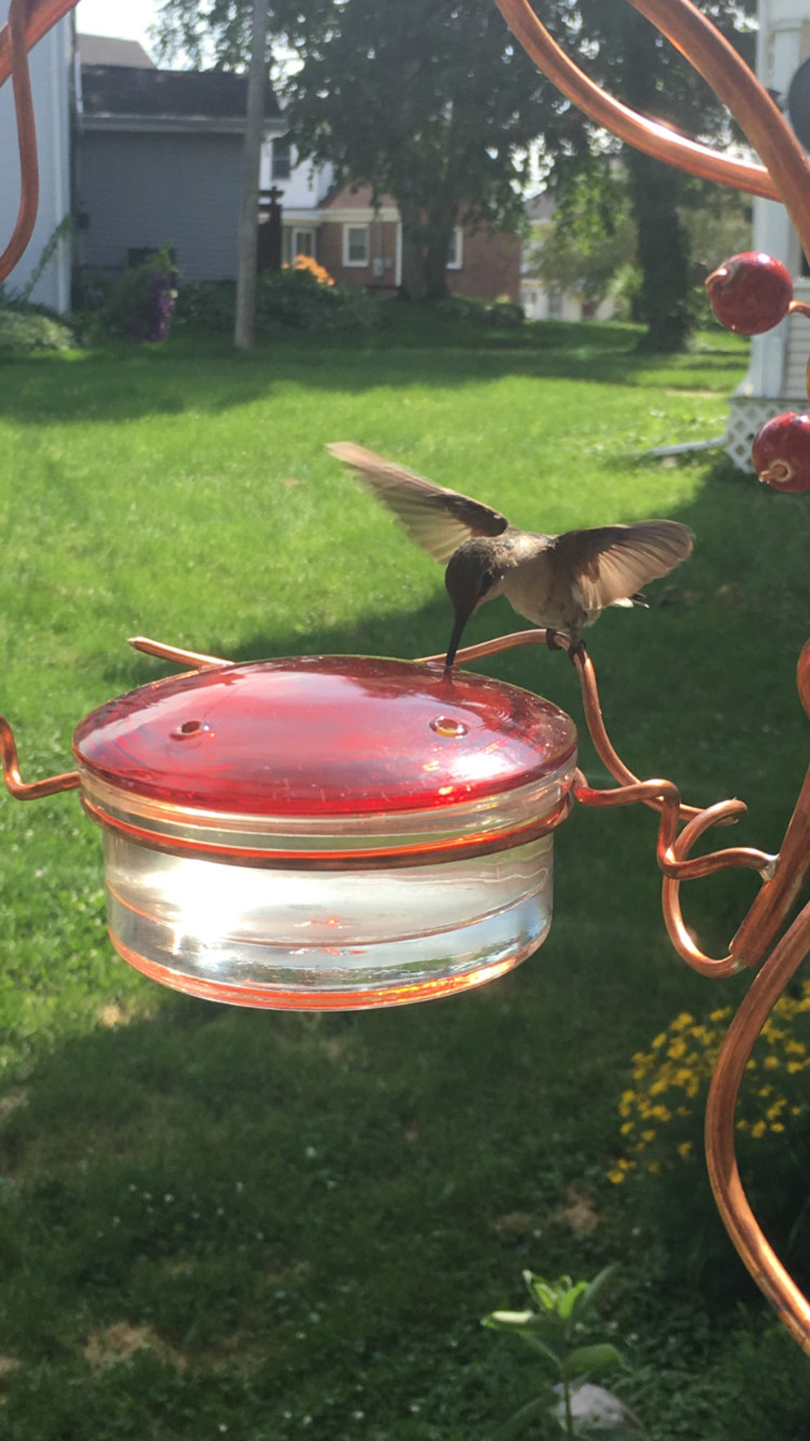 Coppervine Wreath Hummingbird Feeder Etsy