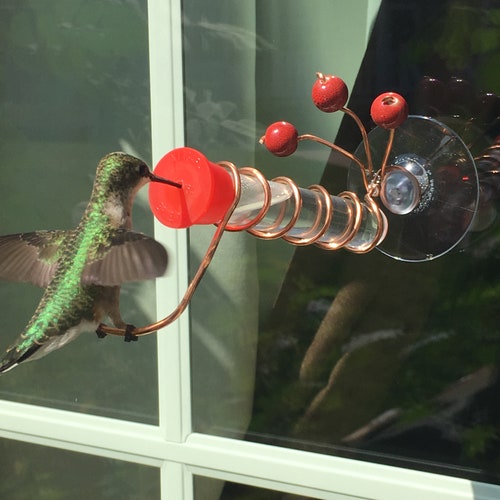 Hat Hummingbird Feeder Etsy