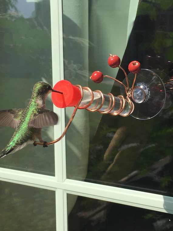 Window Hummingbird Feeder Etsy