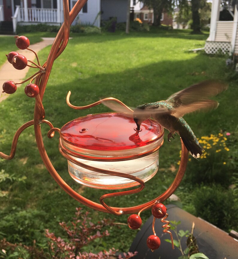 Coppervine Hummingbird Feeder Etsy