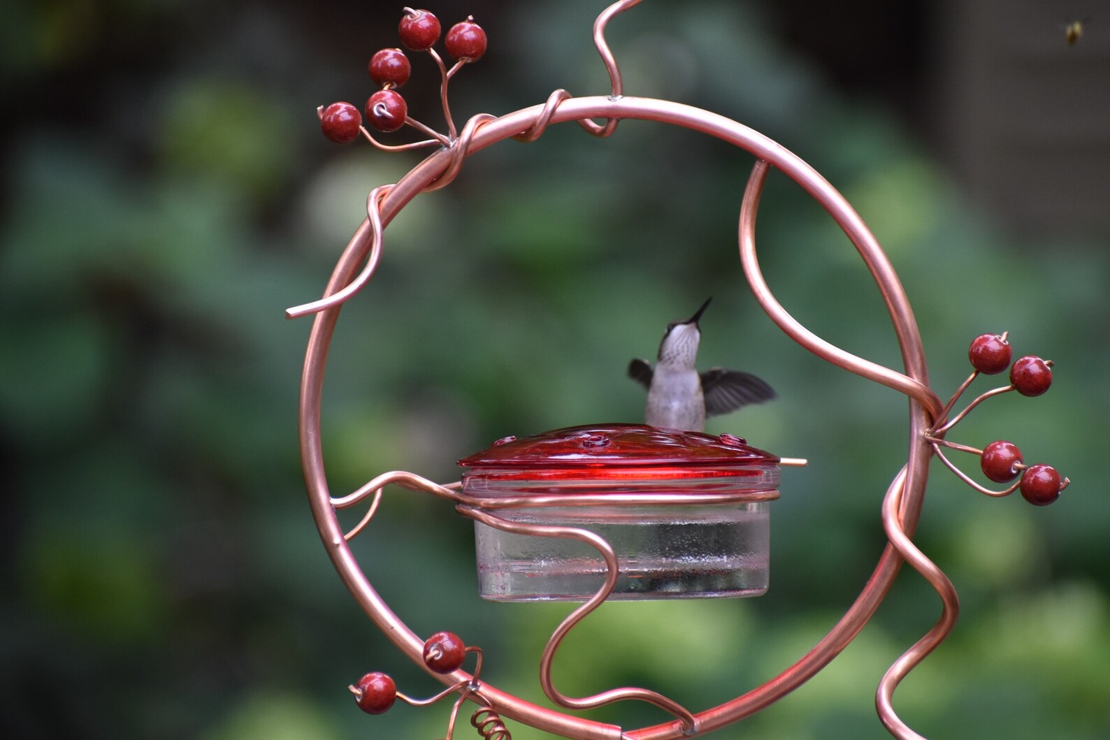 Coppervine Wreath Hummingbird Feeder Etsy