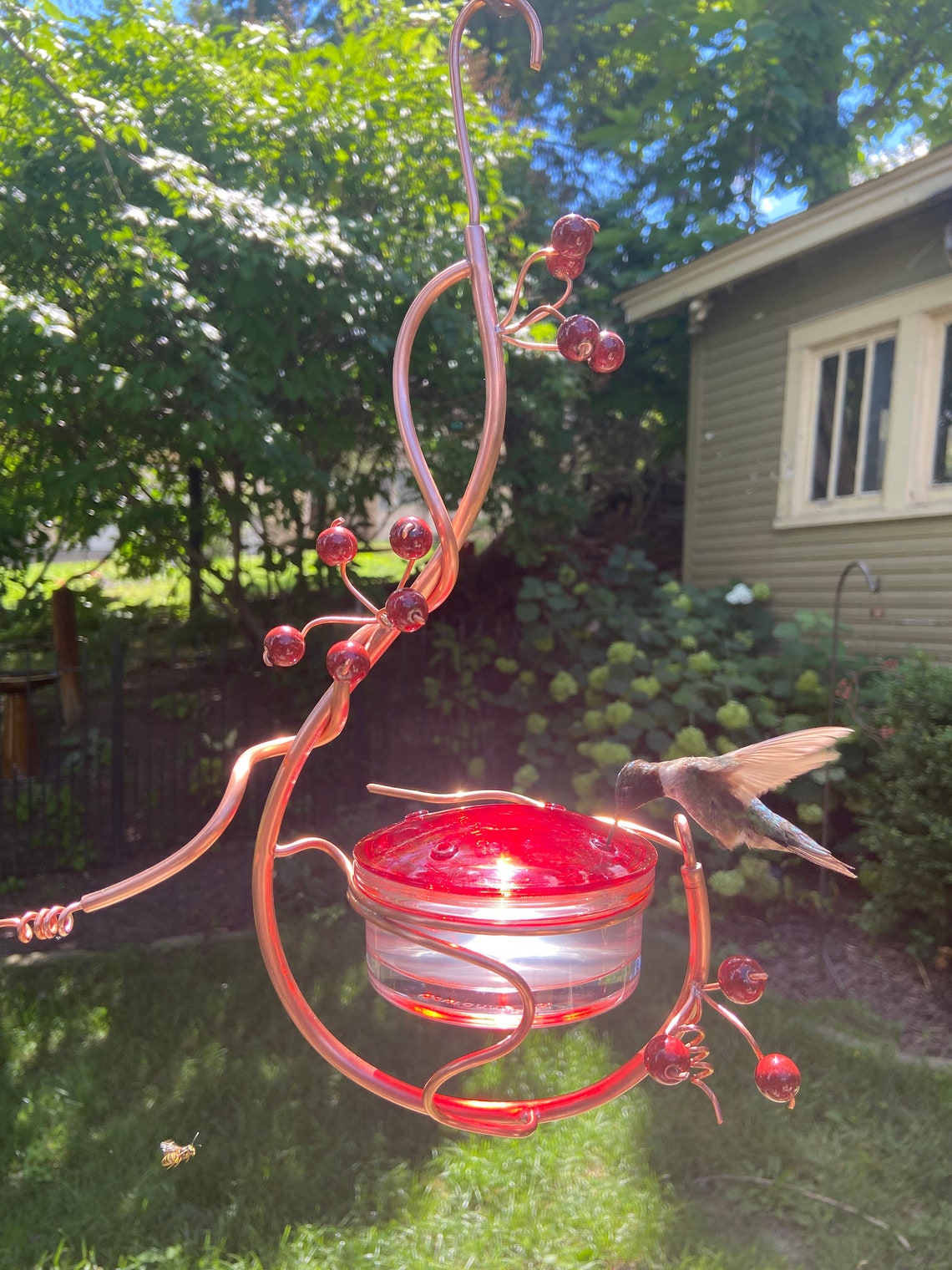 Coppervine Hummingbird Feeder Etsy