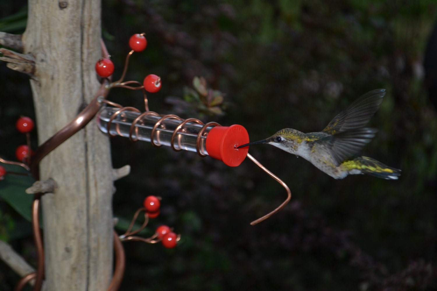 Hummingbird Feeder Etsy