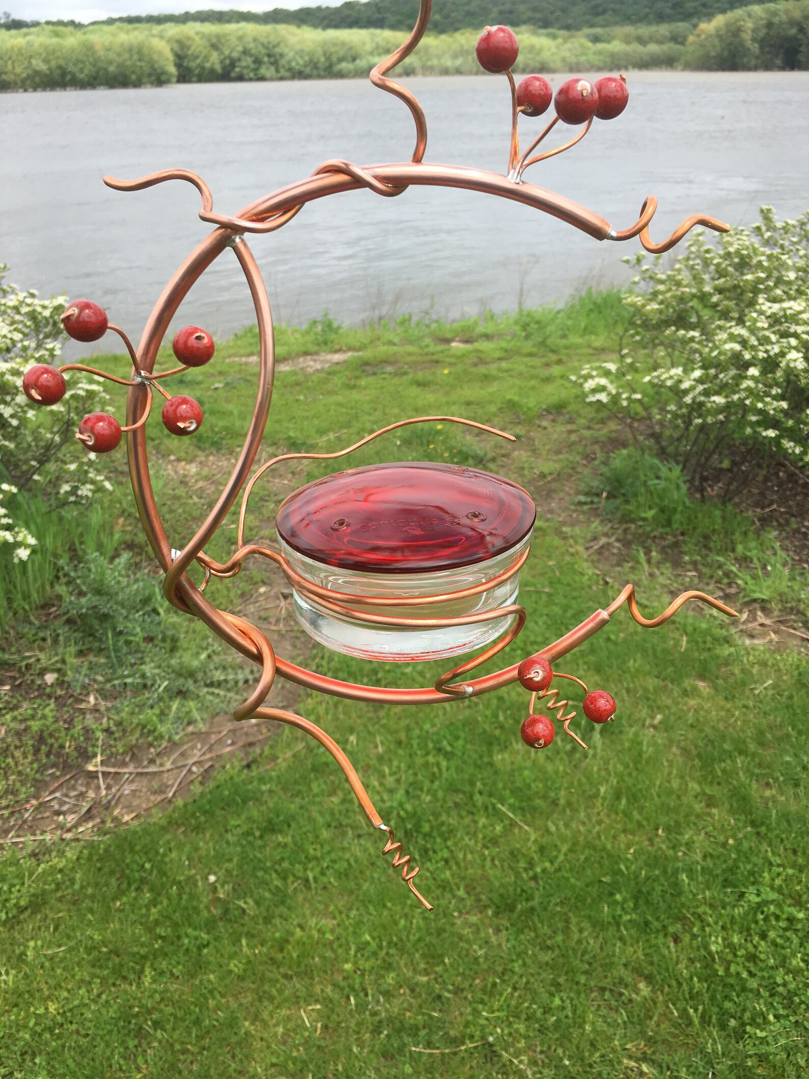 Coppervine Hummingbird Feeder Etsy
