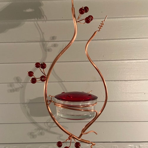 Coppervine Hummingbird Feeder Etsy