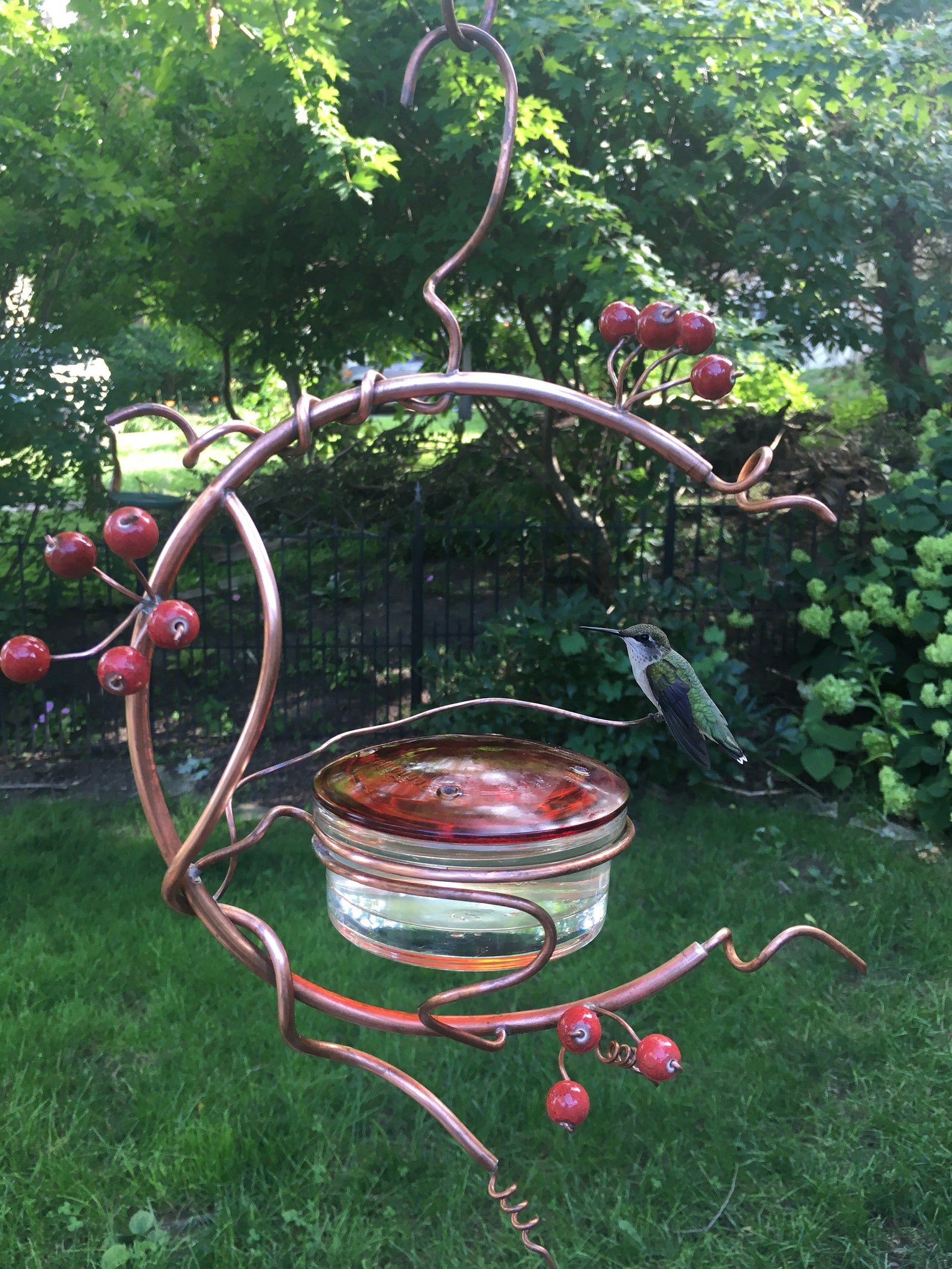 Coppervine Hummingbird Feeder Etsy