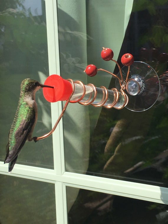 Window Hummingbird Feeder Etsy Belgi