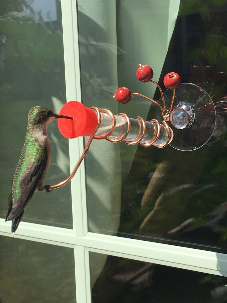 Window Hummingbird Feeder Etsy