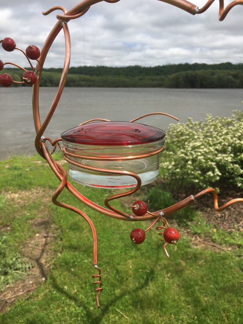 Coppervine Hummingbird Feeder Etsy