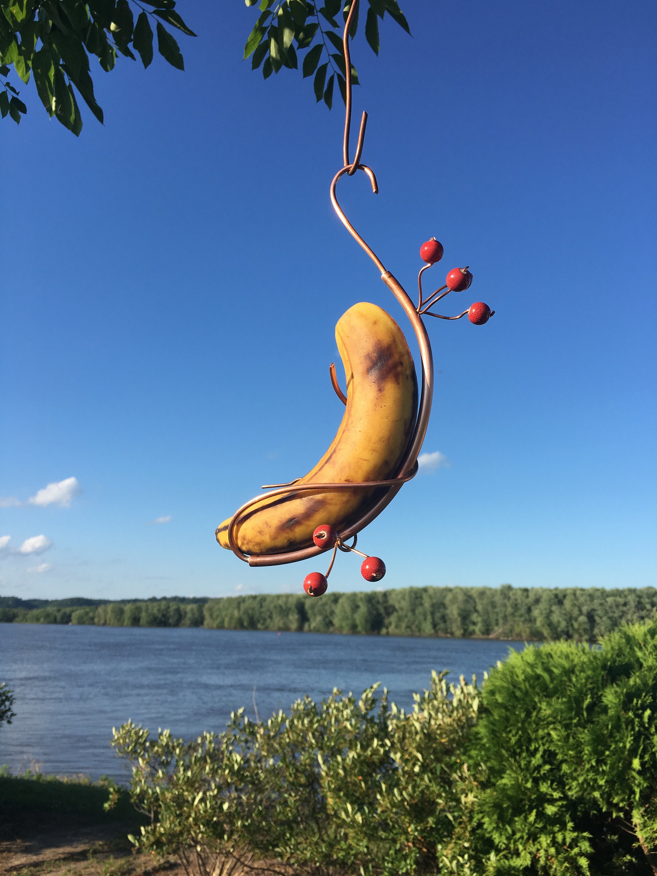 Butterfly Banana Hammock Etsy