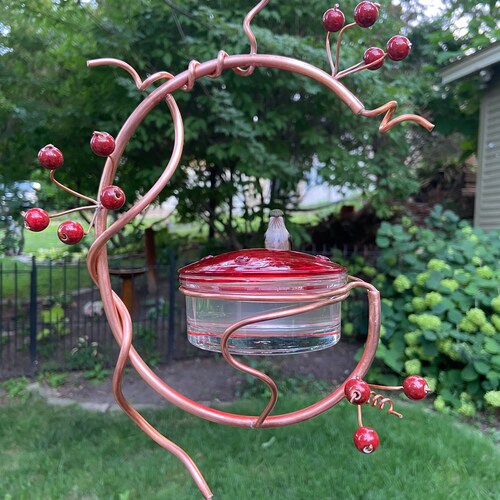 Coppervine Hummingbird Feeder Etsy