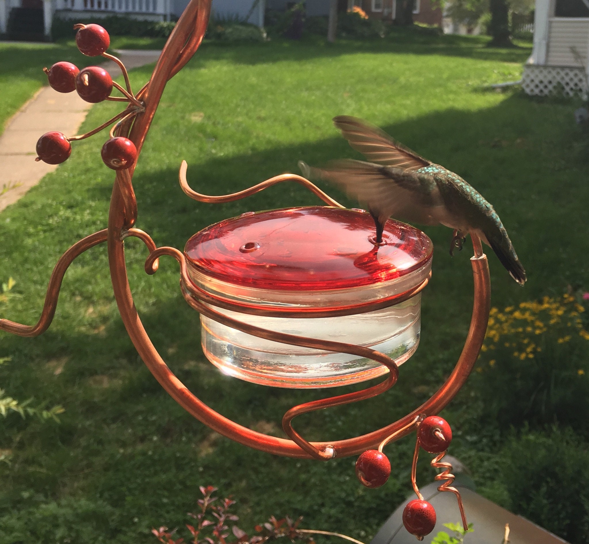 Coppervine Hummingbird Feeder Etsy