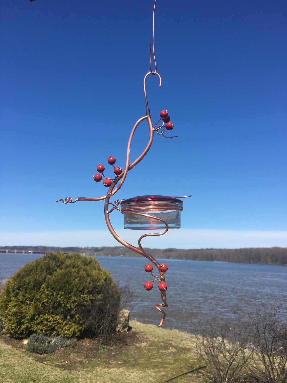 Coppervine Hummingbird Feeder Etsy
