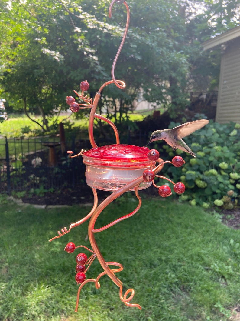 Coppervine Spiral Hummingbird Feeder Etsy