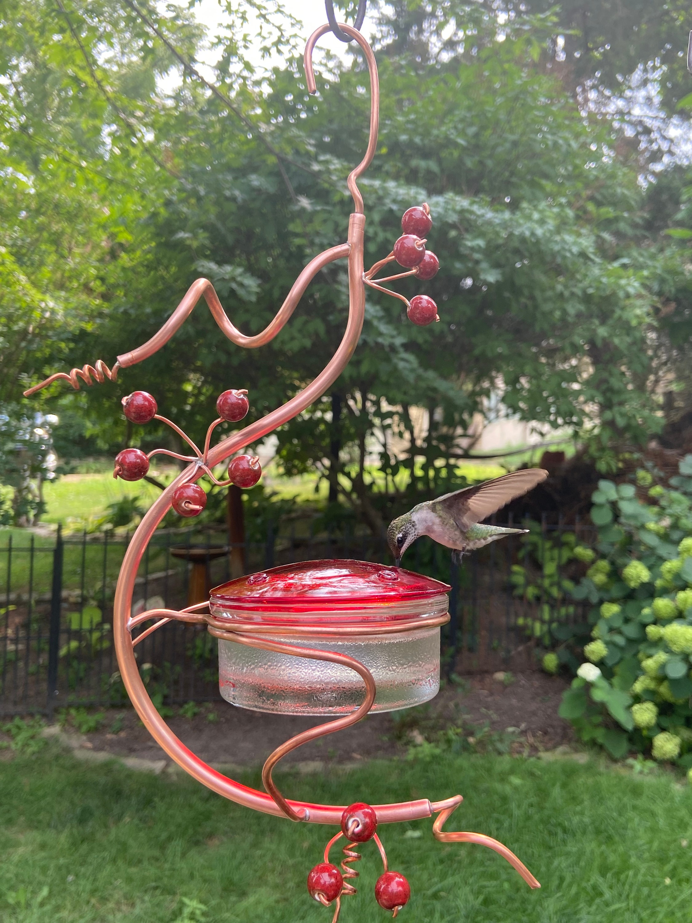 Coppervine Hummingbird Feeder Etsy UK