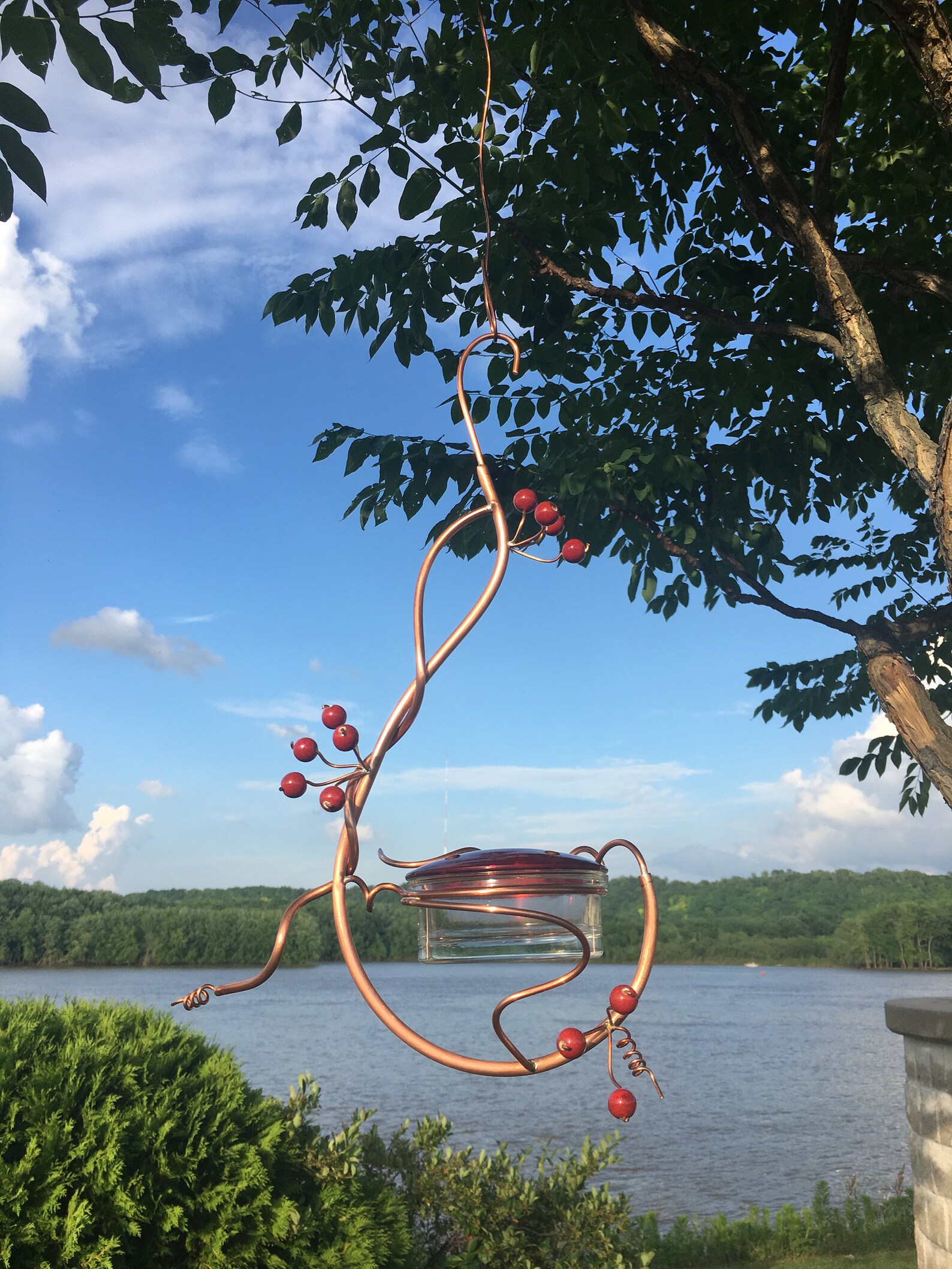 Coppervine Hummingbird Feeder Etsy