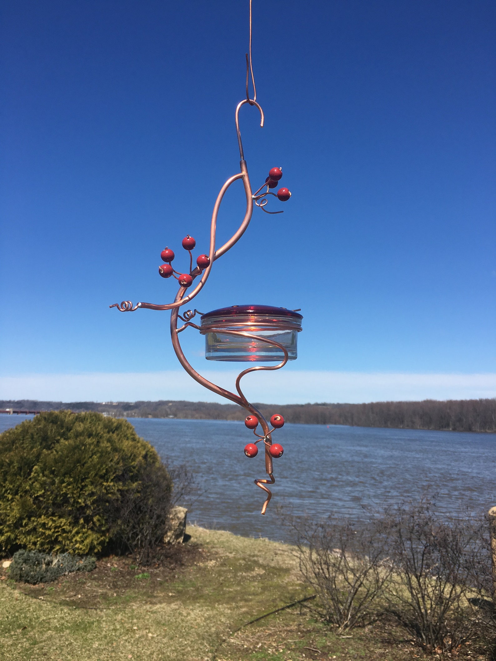 Coppervine Hummingbird Feeder Etsy