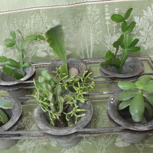 Vintage Popover Pans- Succulent Planters- Set of 2 - Free Shipping!