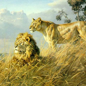 High Quality oil painting On Canvas Hand painted Modern Animal  art DD101E