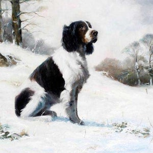 High Quality Animal oil painting On Canvas Hand painted Modern art  DB101B