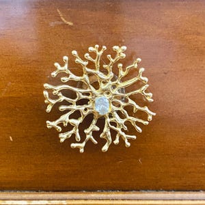 Handmade Coral Brass Drawer Pull Coastal Cabinet Hardware Organic Furniture Handle