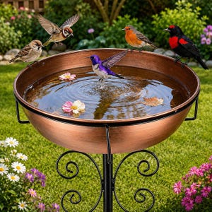 May include: A copper-colored metal bird bath with a circular basin and a black metal stand featuring decorative scrollwork. The basin contains water, a small purple hummingbird, two floating flowers, and a leaf, while four other birds perch on the rim.