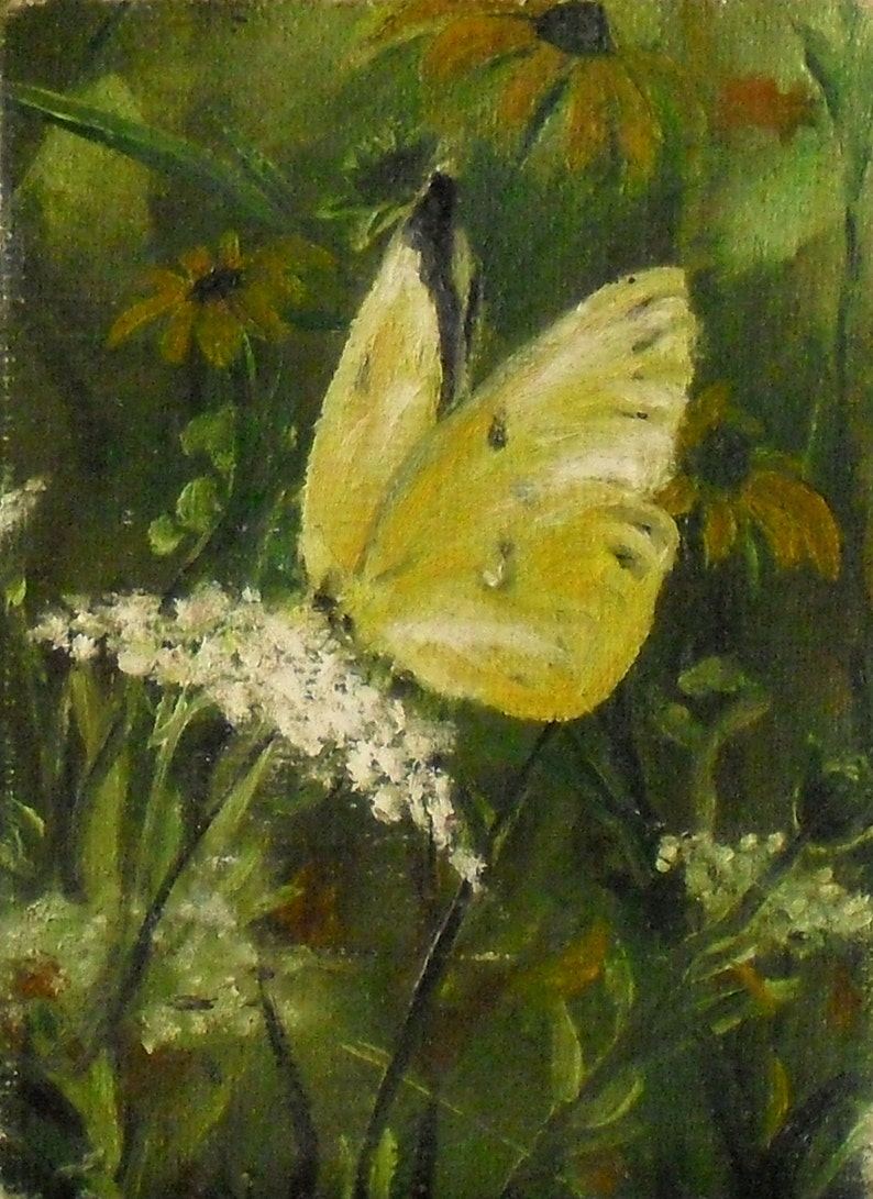 Fine Art Print of my Original 5 X 7 Oil Painting Yellow Butterfly image 1