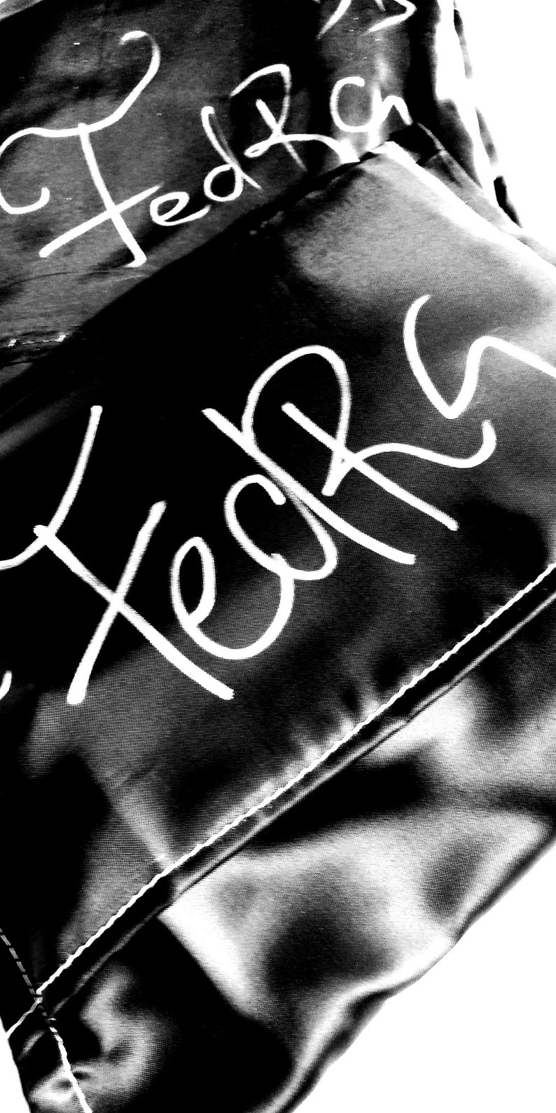 May include: Black fabric bag with white stitching and the words "FedEx" and "FedEx" written in white.