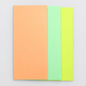 Pode incluir: Três envelopes retangulares dispostos numa pilha vertical. O envelope superior é de uma cor pêssego sólida, o envelope do meio é de um verde menta claro e o envelope inferior é de um amarelo néon vibrante. Acabamento mate e liso.
