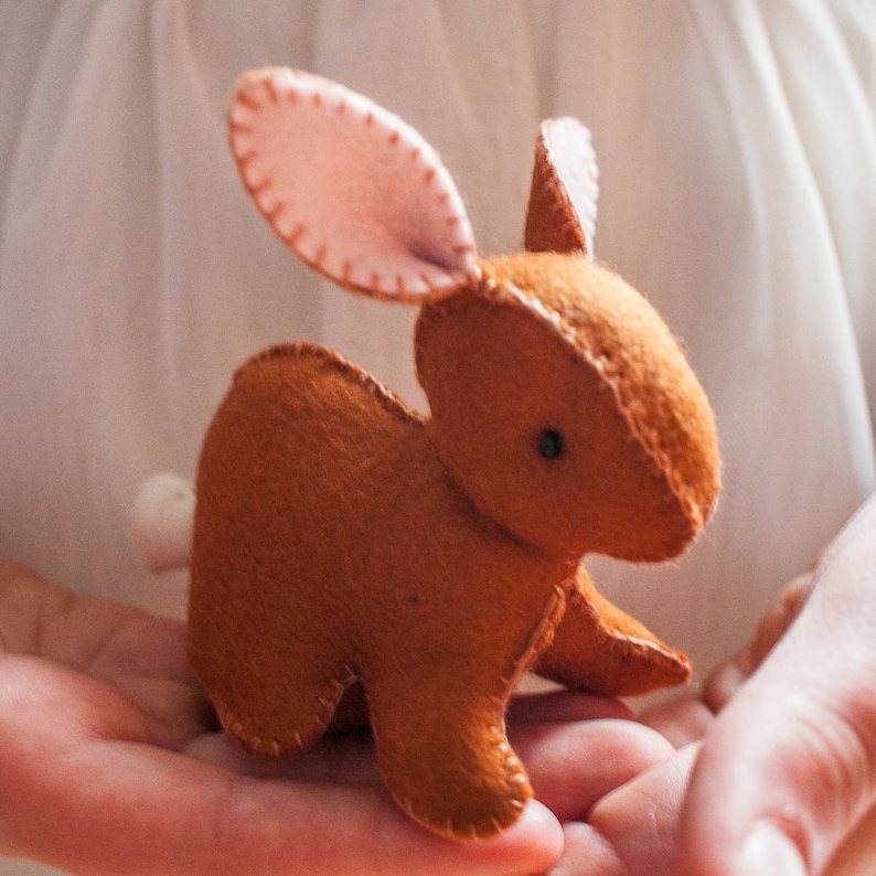 Easter Rabbit Plushie Pdf Waldorf toy image 3