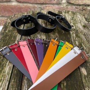 May include: A collection of leather straps in various colours including black, red, pink, burgundy, purple, brown, orange, green, yellow, white, and tan. Each strap features a silver-toned metal buckle and a metal rivet for secure fastening.