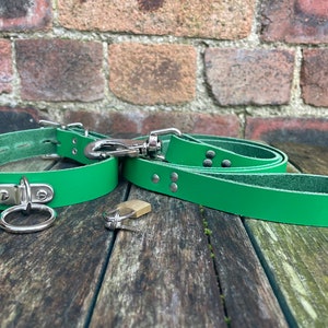 Leather D & O-Ring Lockable 1 wide Choker and Padlock with or without 3/4 wide Leash Necklace Choice of Colours Hand Made Real Leather Green