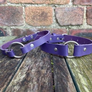 May include: Two purple leather collars with silver metal rings. The collars are on a wooden surface.